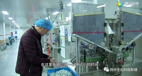 生態科技新城 以創新引擎助推民營經濟發展，多名企業家榮獲“科技企業家”稱號
